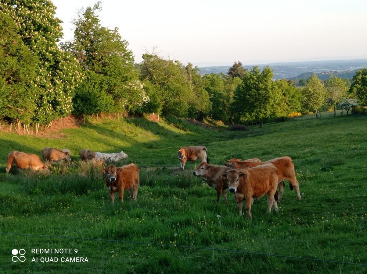 Appartamento L'Eclat De Menthe Augerolles Esterno foto
