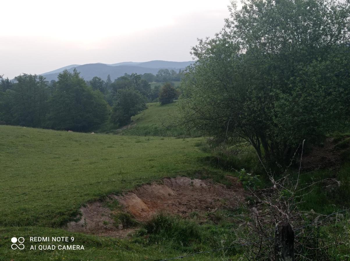 Appartamento L'Eclat De Menthe Augerolles Esterno foto