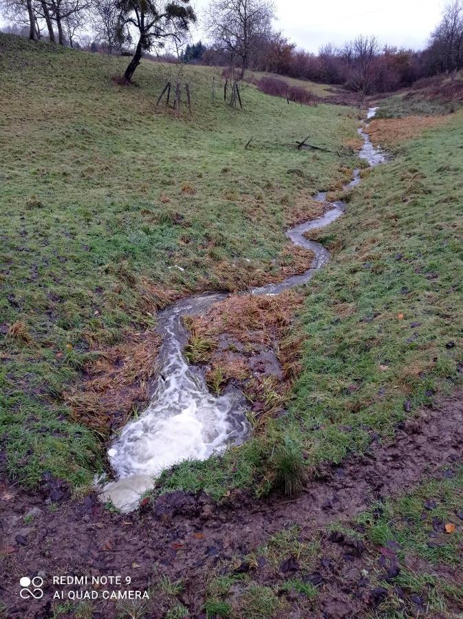 Appartamento L'Eclat De Menthe Augerolles Esterno foto