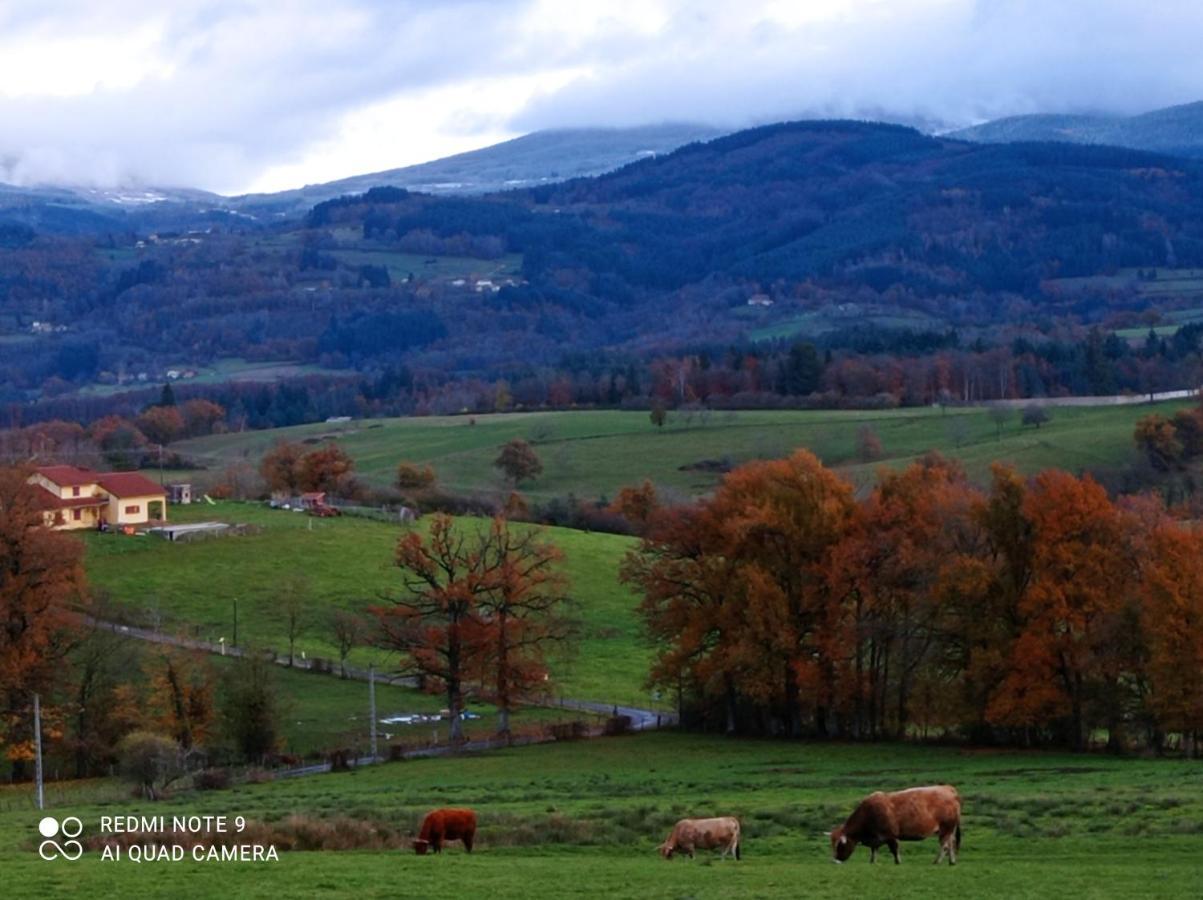 Appartamento L'Eclat De Menthe Augerolles Esterno foto