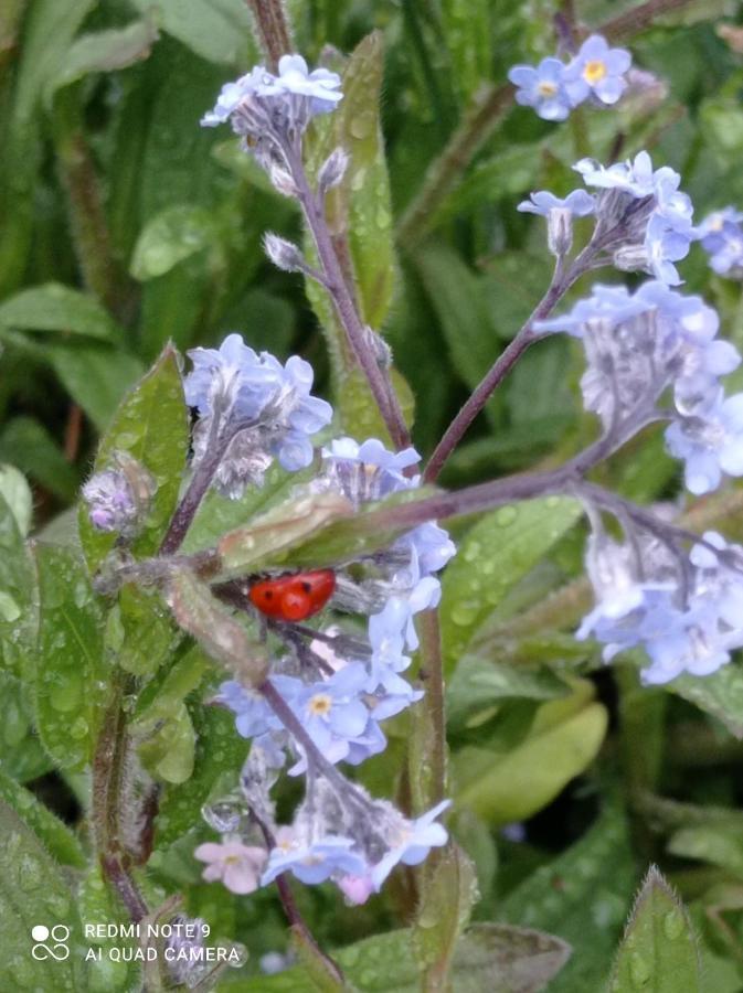 Appartamento L'Eclat De Menthe Augerolles Esterno foto