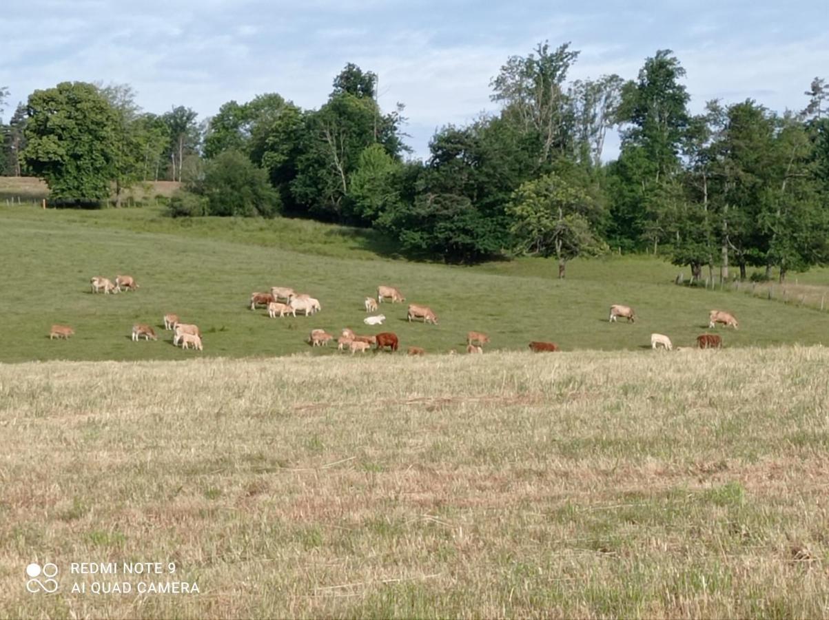 Appartamento L'Eclat De Menthe Augerolles Esterno foto
